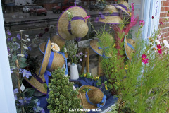 LAVENDER-BLUE-1