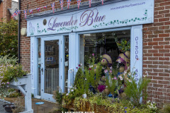 LAVENDER-BLUE-scaled
