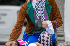 045-_DSC1395
