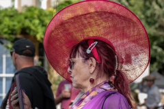 161-_DSC1043