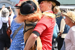 2025-hat-festival-6th-sept-83_54768036447_o-scaled